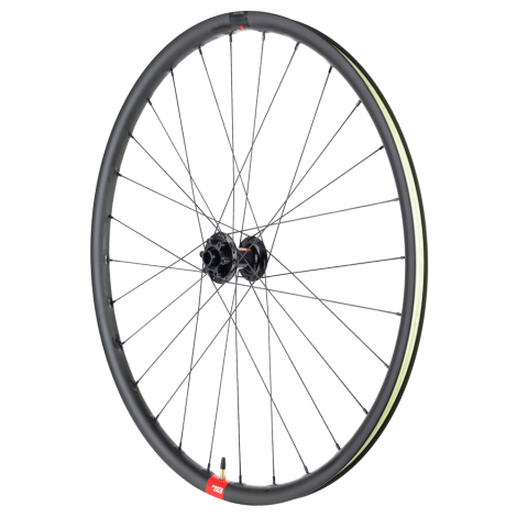 Reserve 25 DT Swiss 370 Front Wheel - 29"