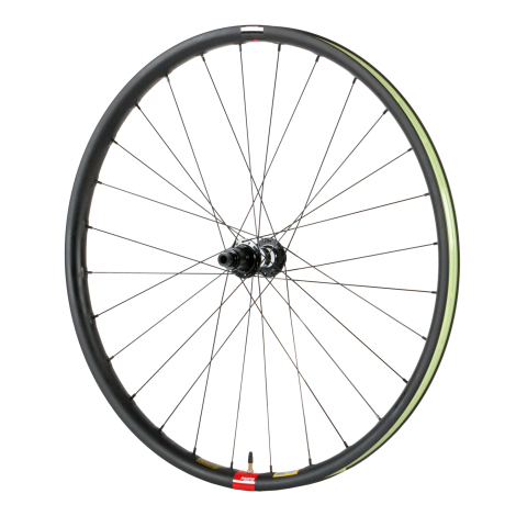 Reserve 25 DT Swiss 350 Rear Wheel - 29"