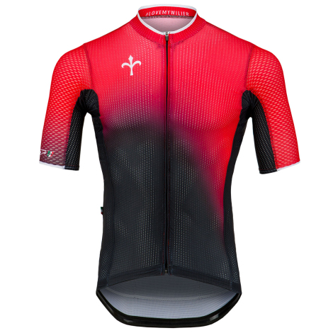wilier jersey